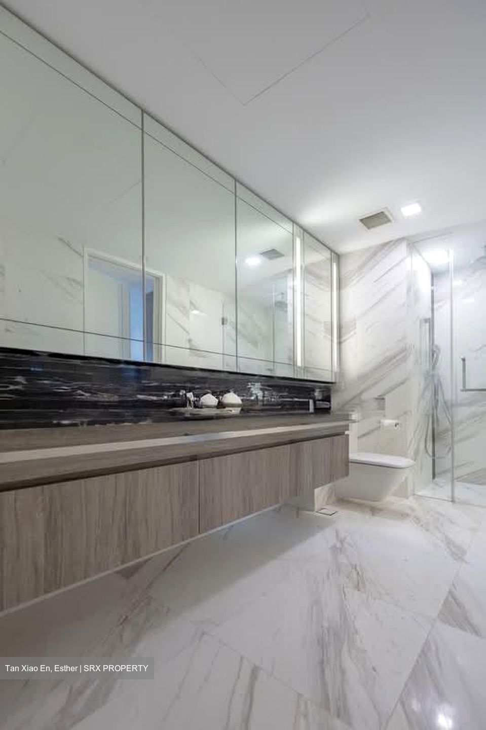 Wallich Residence  (D2), Condominium #558403491